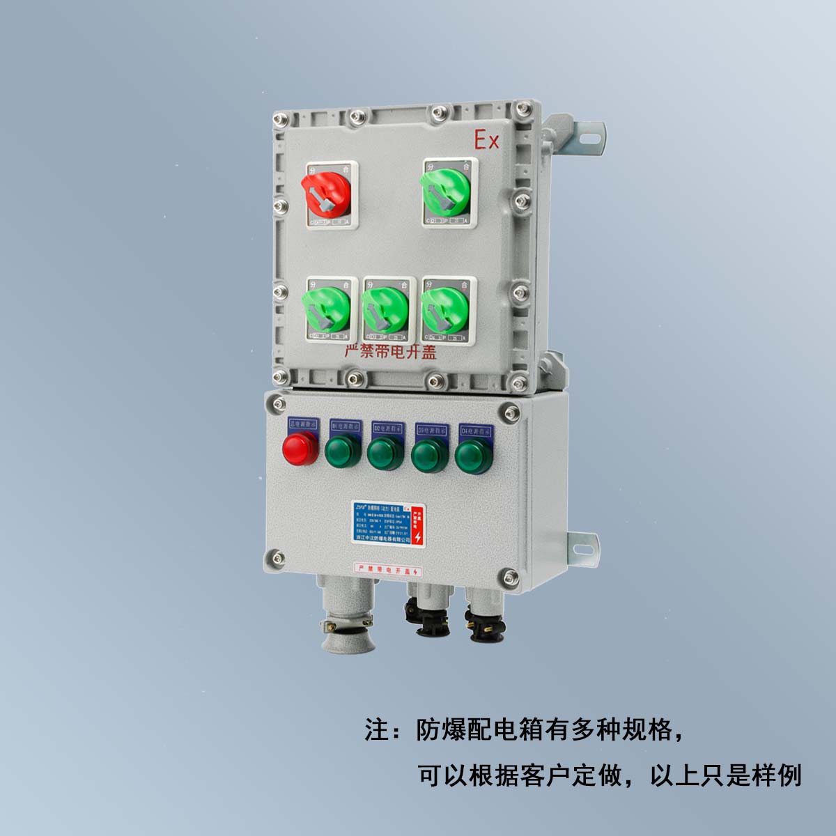 BXM(D)58 系列防爆照明(動力)配電箱 (ⅡB、ⅡC、DIP)